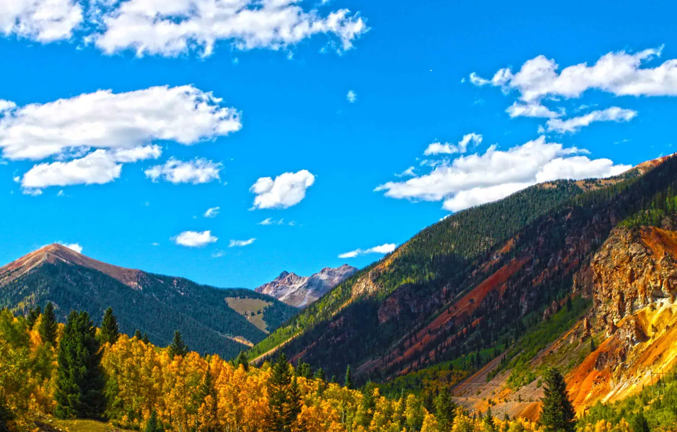 Photo wallpaper autumn, forest, the sky, clouds, trees, mountains