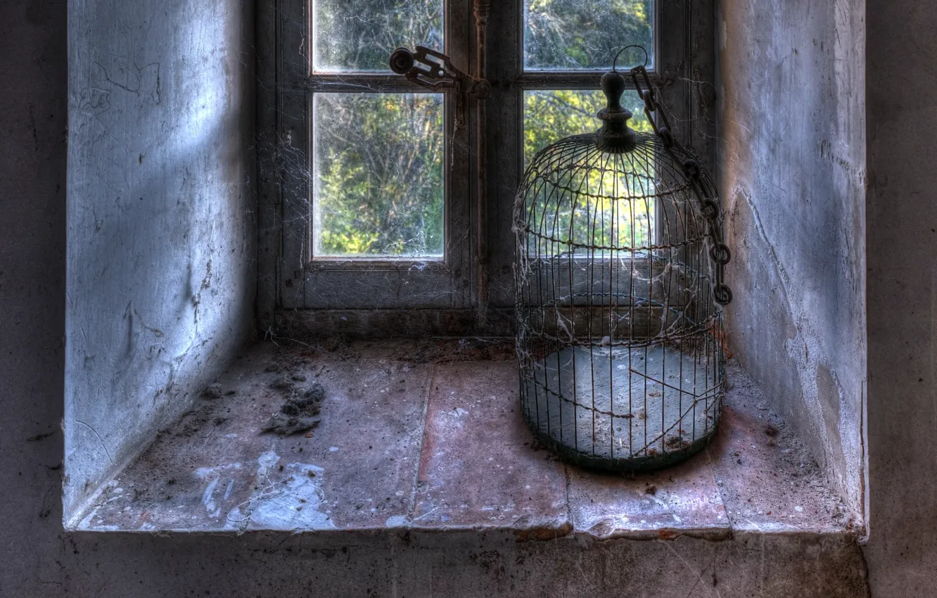 Photo wallpaper freedom, cell, window, naturalism