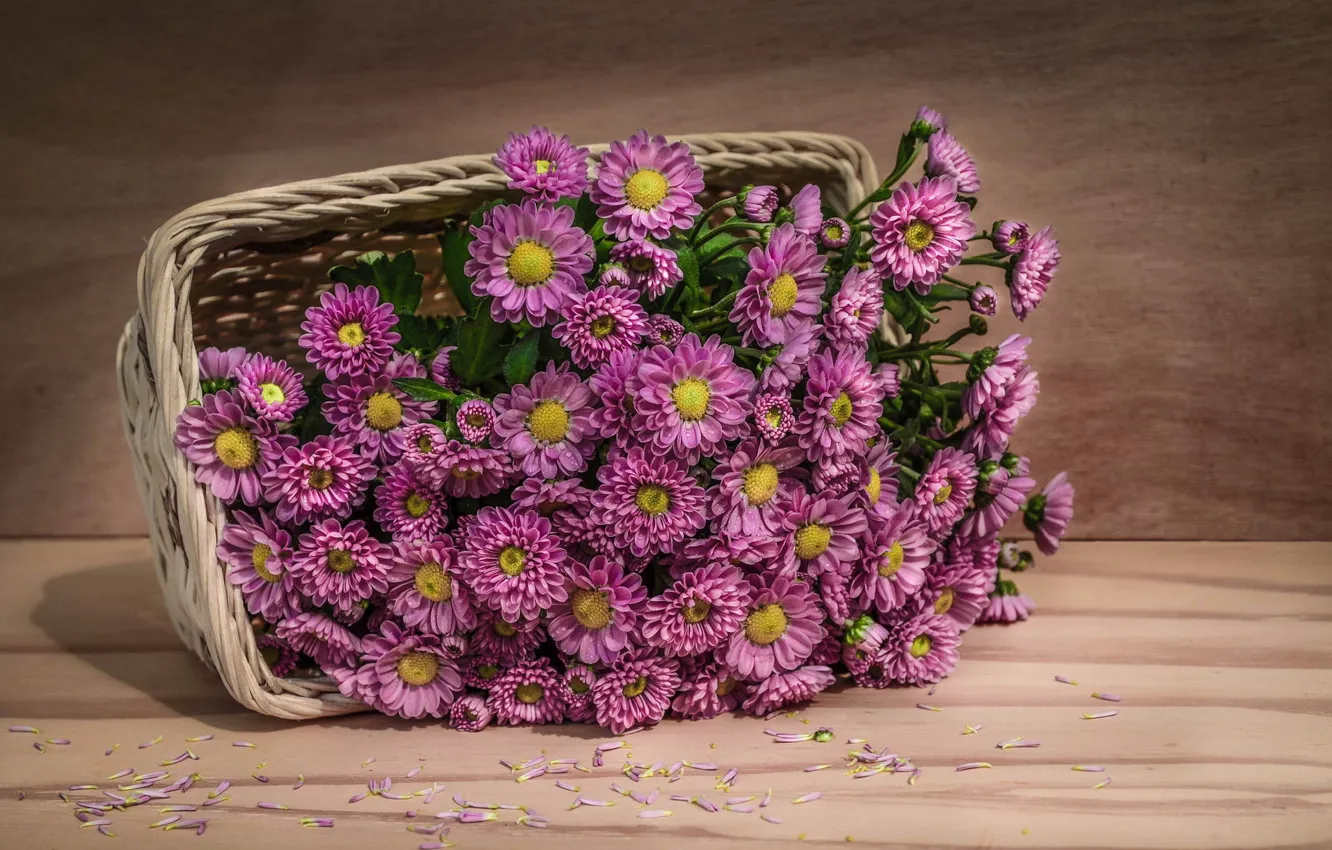 Photo wallpaper basket, Fine Art, Pink flowers