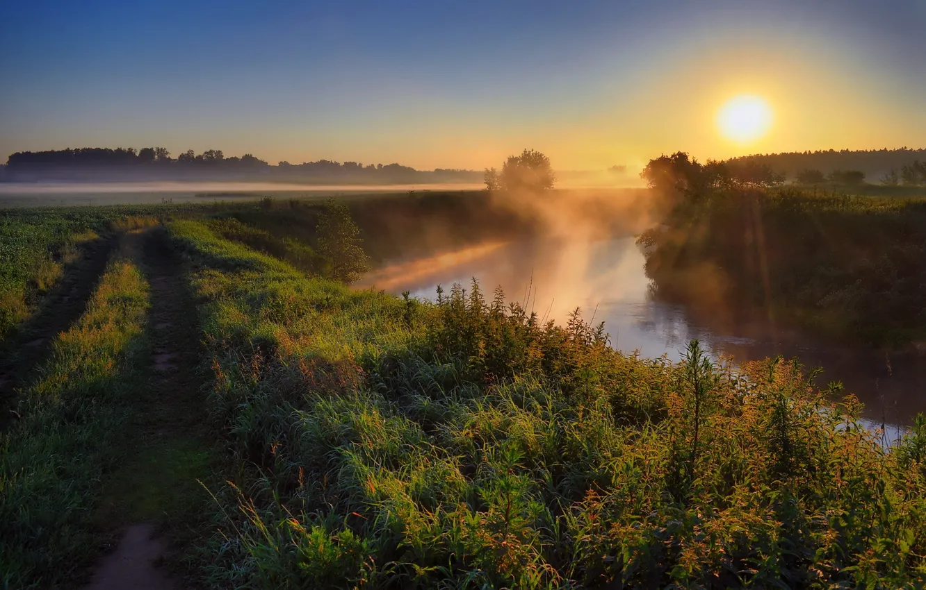 Photo wallpaper road, the sun, sunset, nature, fog, river, photo, dawn
