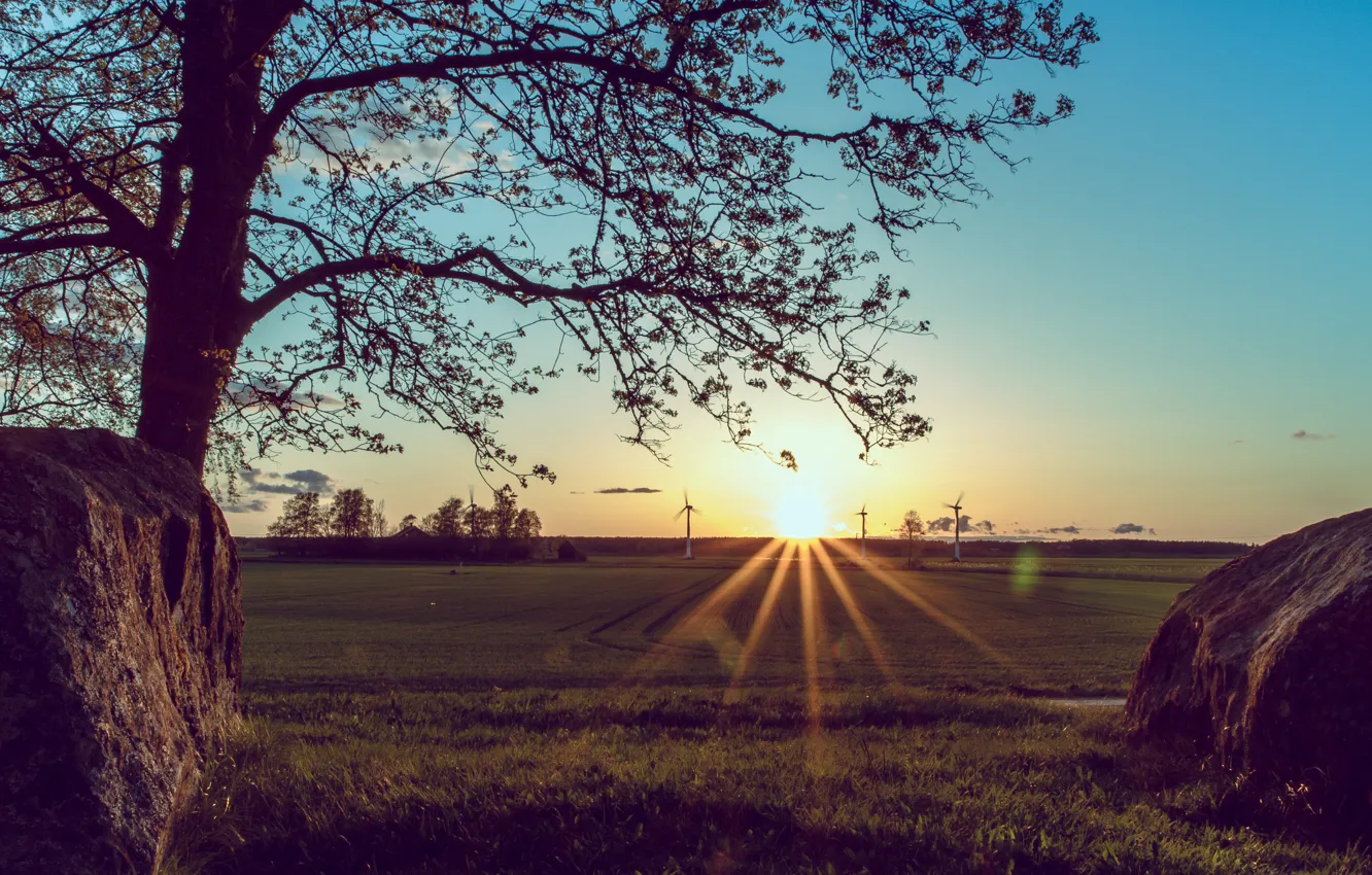 Photo wallpaper grass, the sun, trees, sunset, stones, home, house, grass