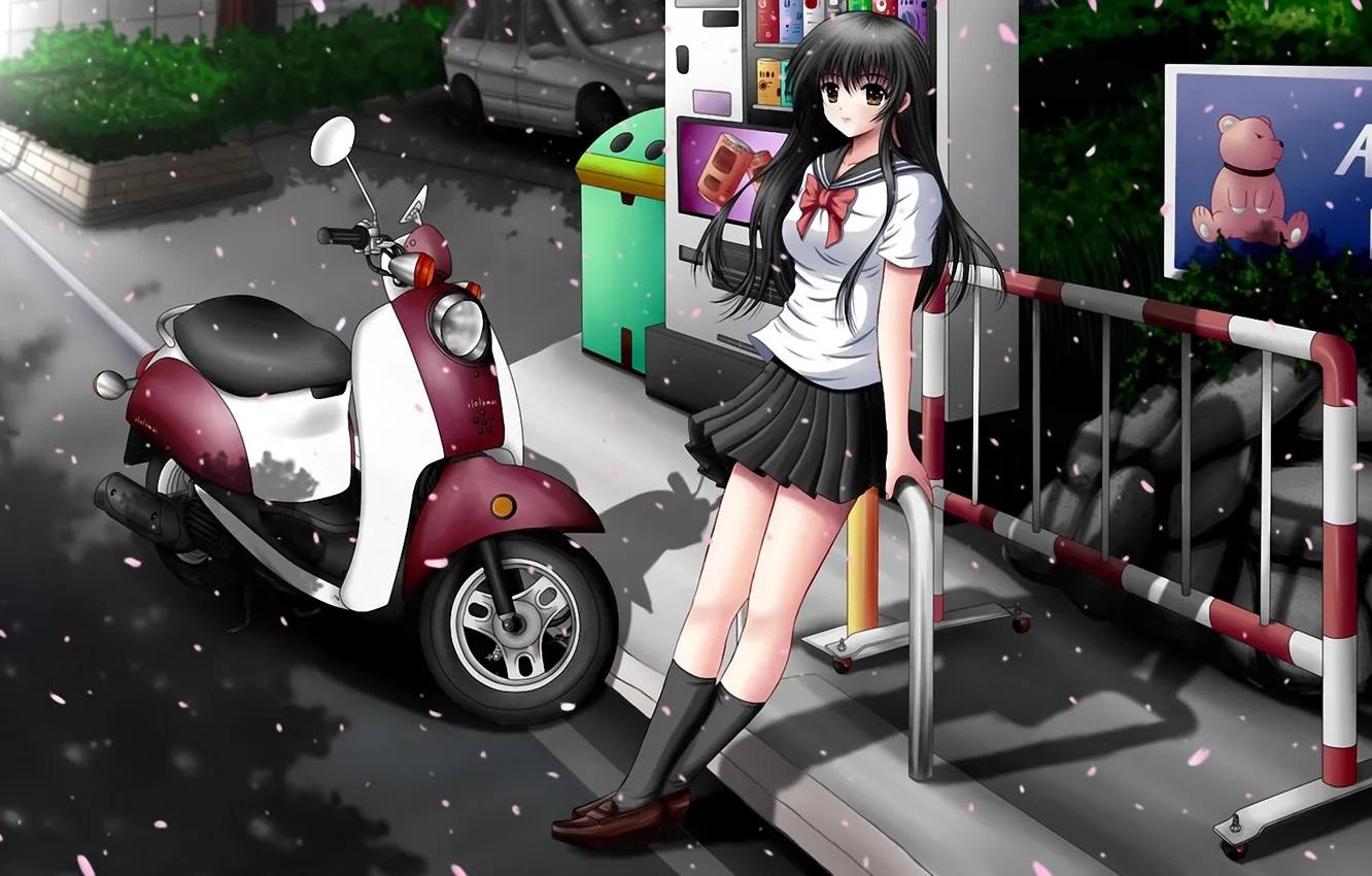 Photo wallpaper girl, the city, petals, Sakura, art, motorcycle, form, ilolamai