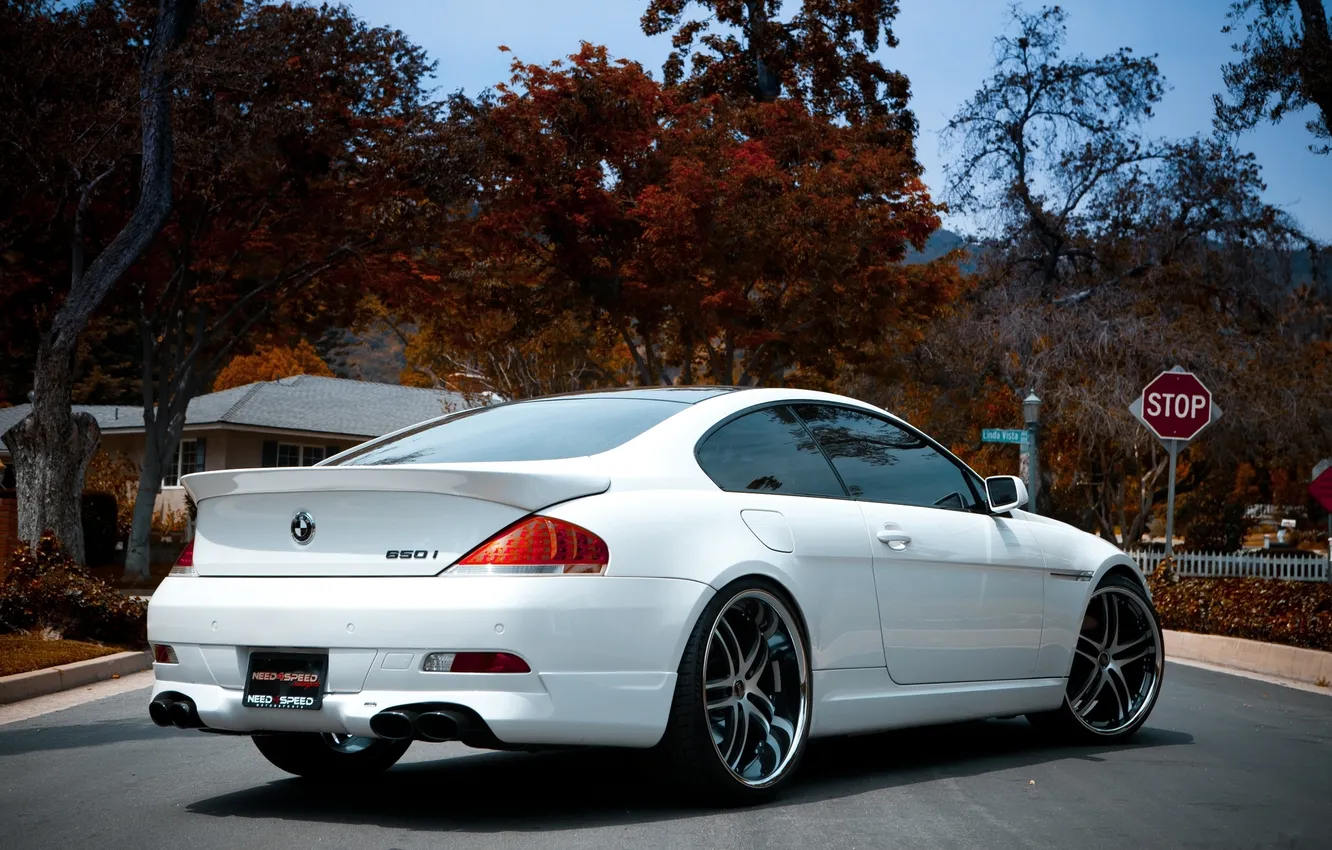 Photo wallpaper white, the sky, trees, BMW, BMW, white, E63, Wheels