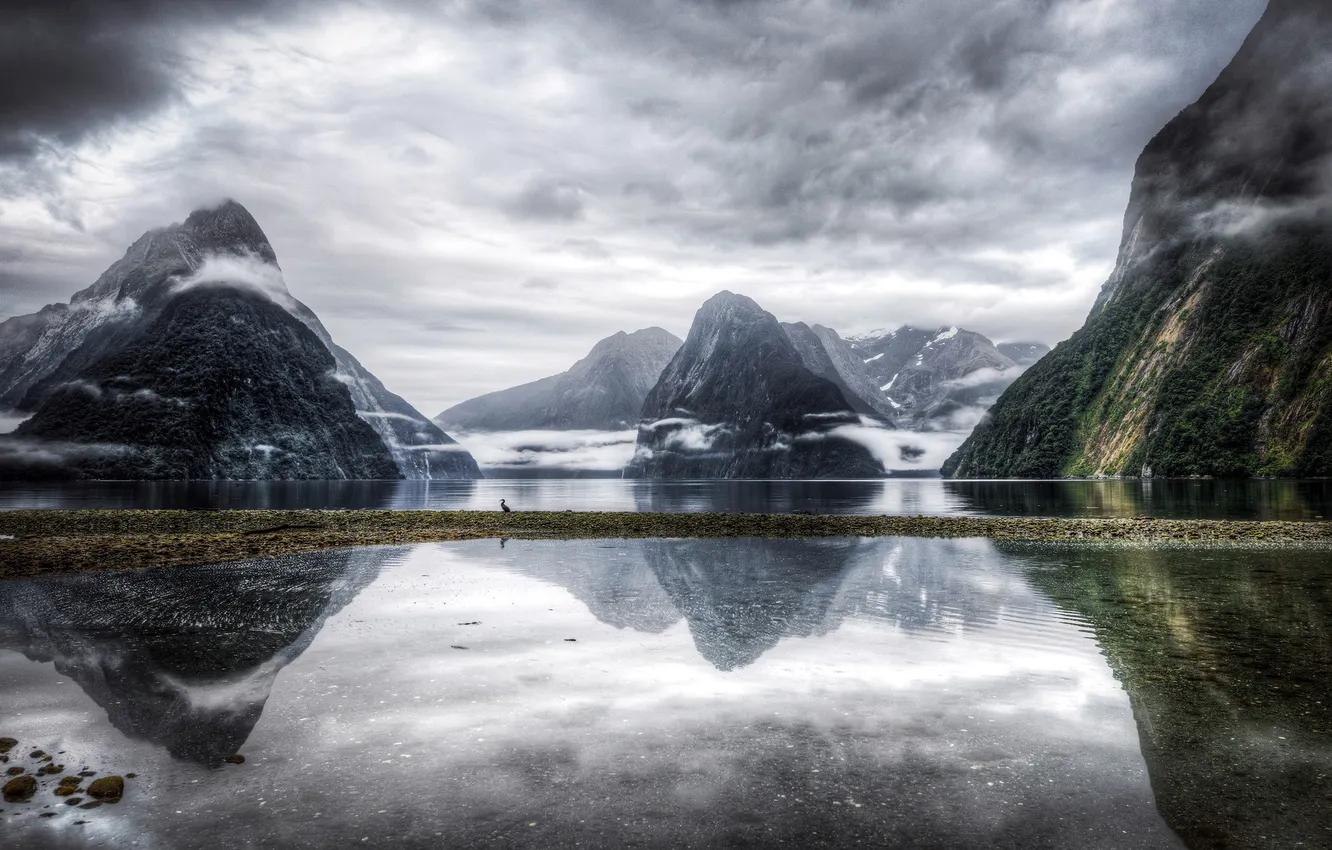 Photo wallpaper mountains, lake, bird, New Zealand, Milford Sound, Southland