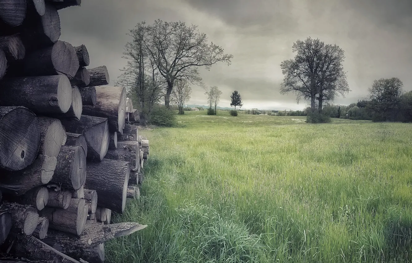 Photo wallpaper field, summer, log
