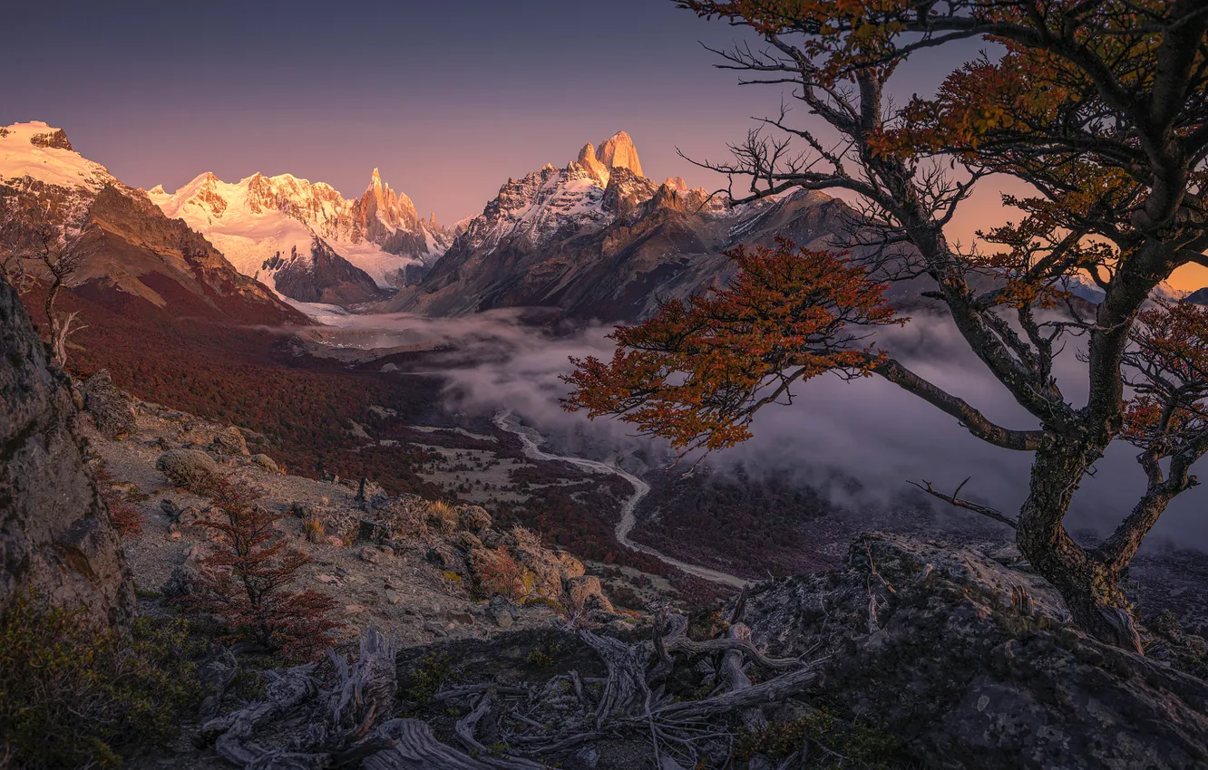 Photo wallpaper autumn, trees, mountains, branches, Andes