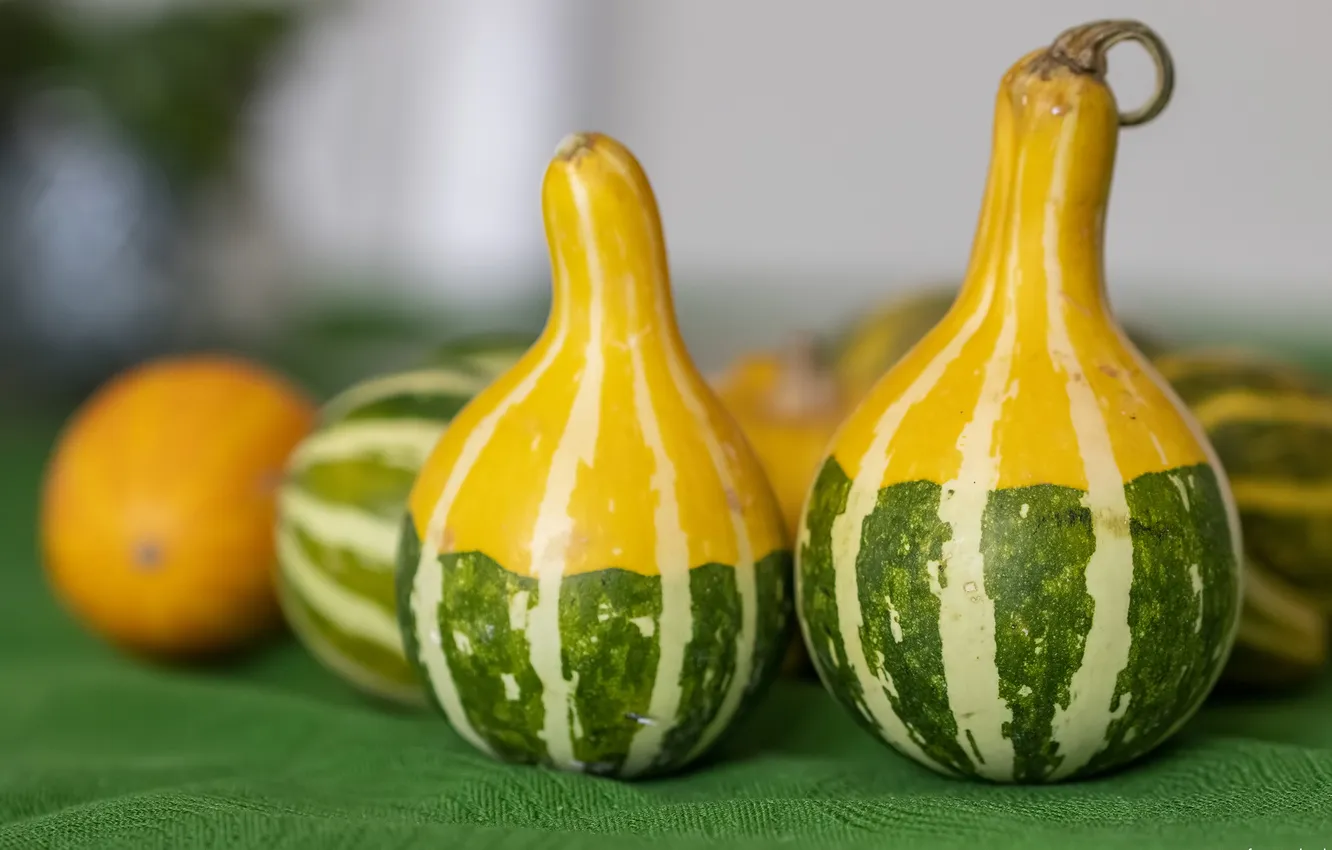 Photo wallpaper background, pumpkin, jug