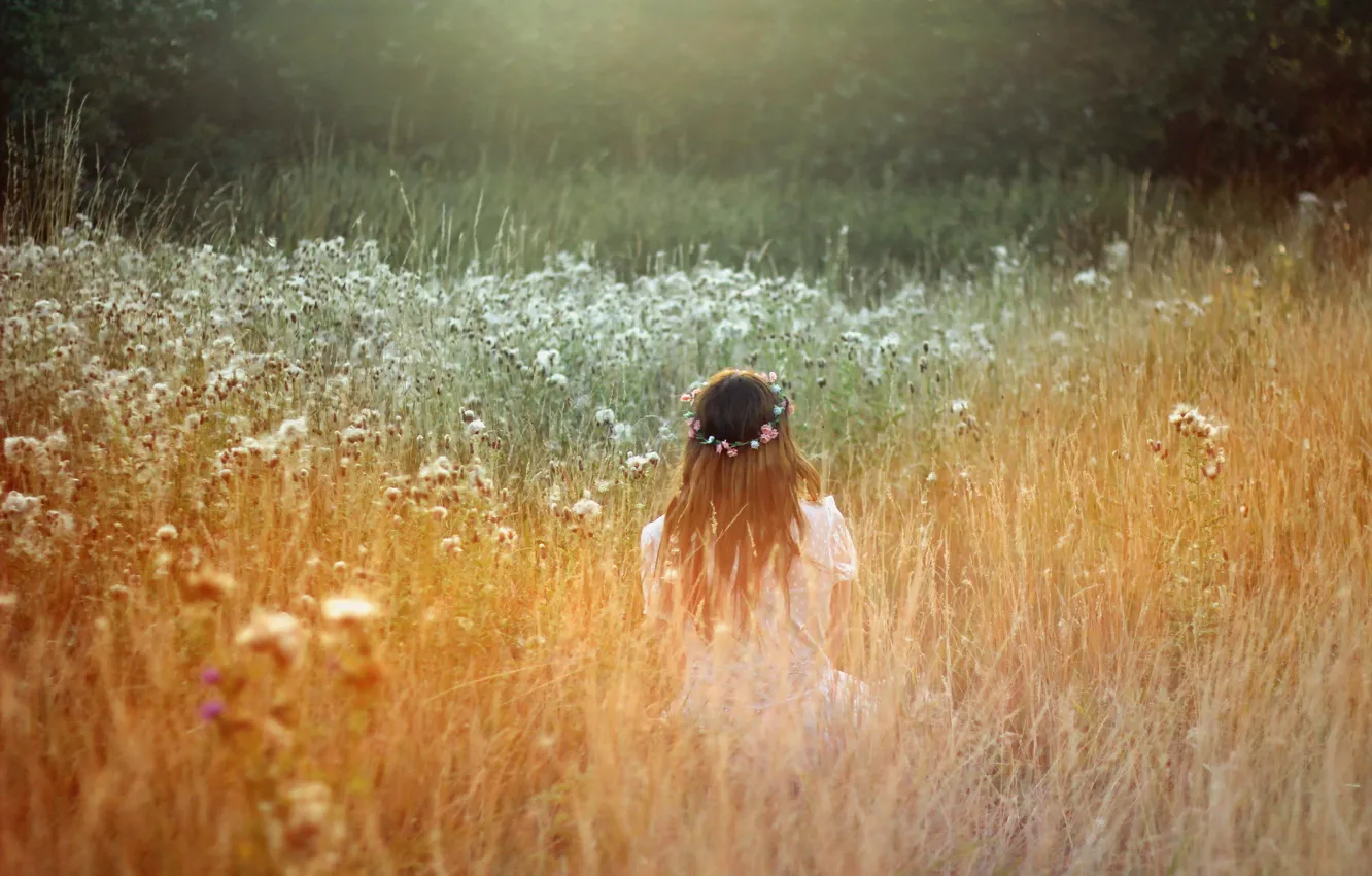 Photo wallpaper field, summer, girl, mood