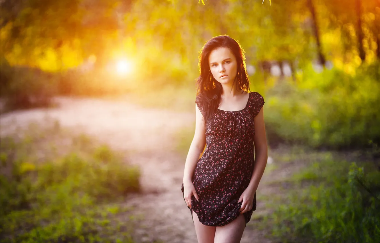 Photo wallpaper forest, look, girl, rays, face, green, sweetheart, model
