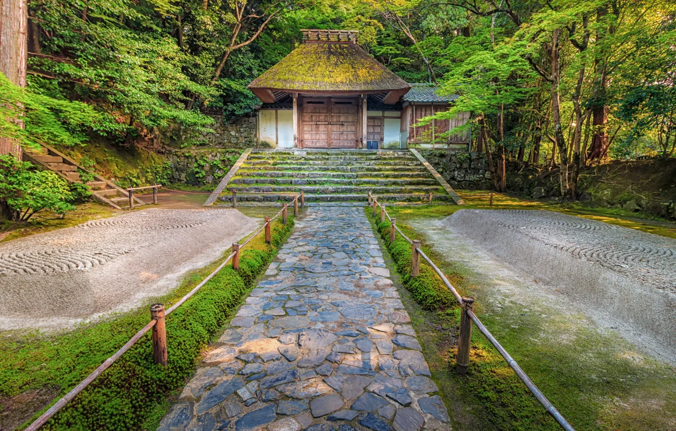 Photo wallpaper greens, trees, Park, Japan, Kyoto