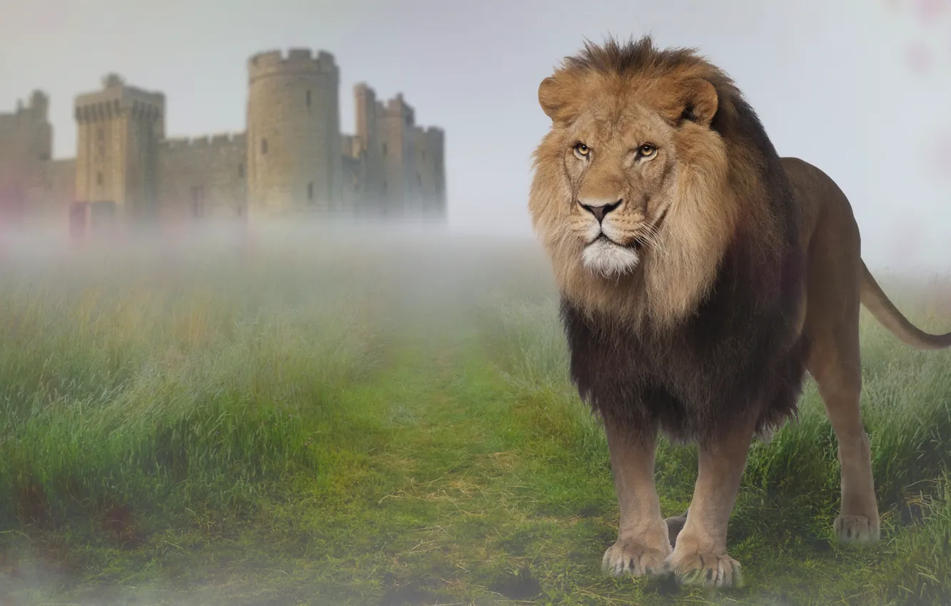 Photo wallpaper road, field, look, nature, fog, rendering, castle, Leo