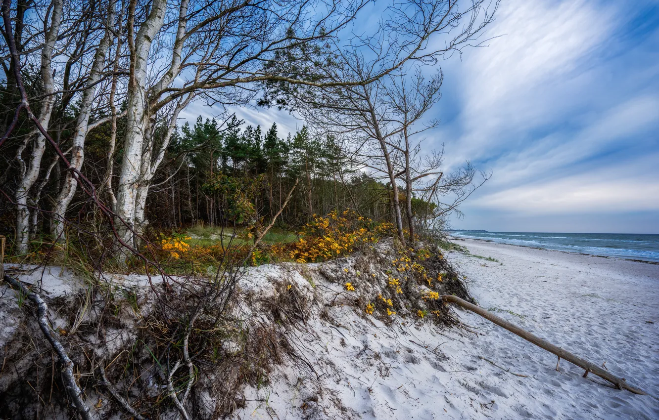 Photo wallpaper sea, autumn, shore