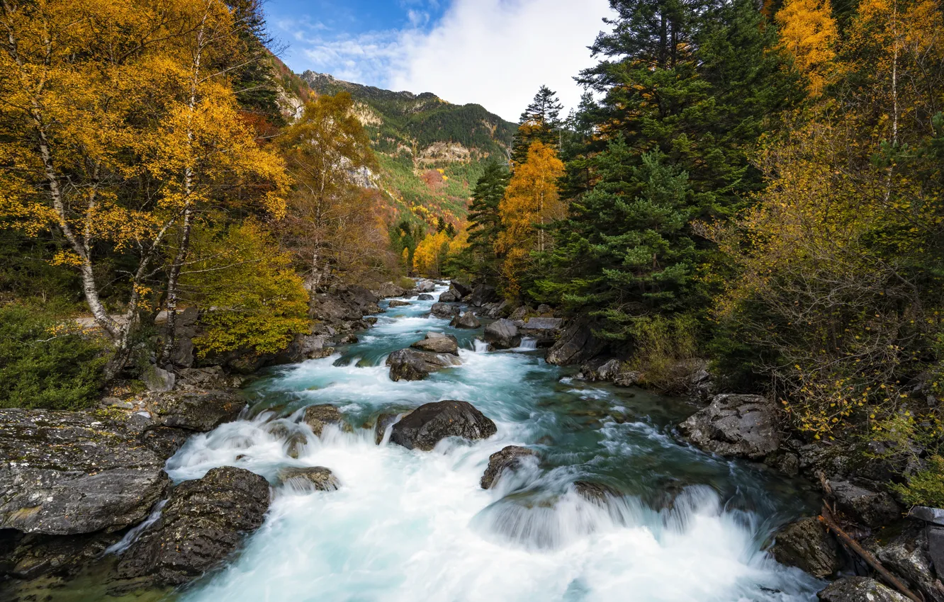 Photo wallpaper Spain, Aragon, Torla-Ordesa, Santa Elena Bridge