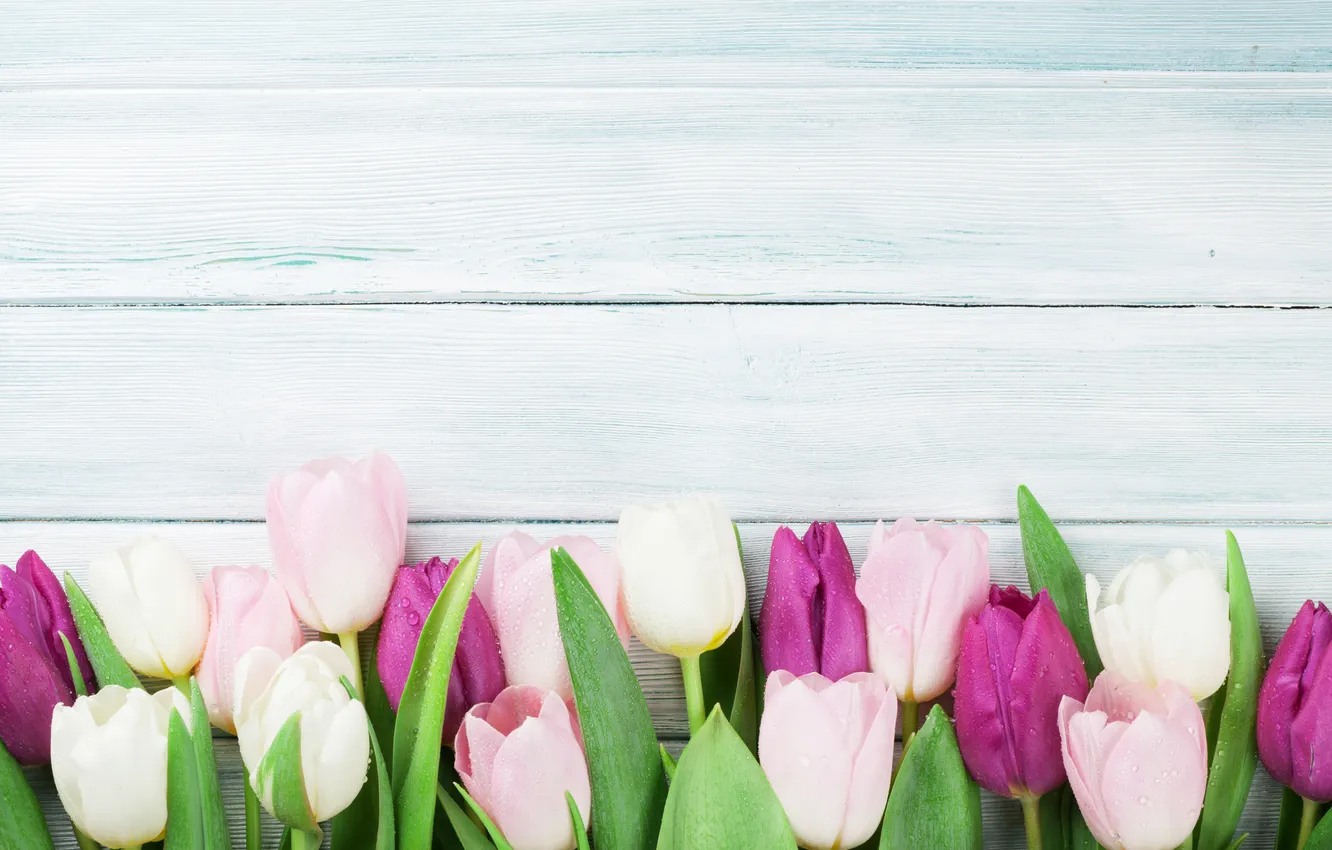 Photo wallpaper flowers, colorful, tulips, wood, pink, flowers, tulips, spring