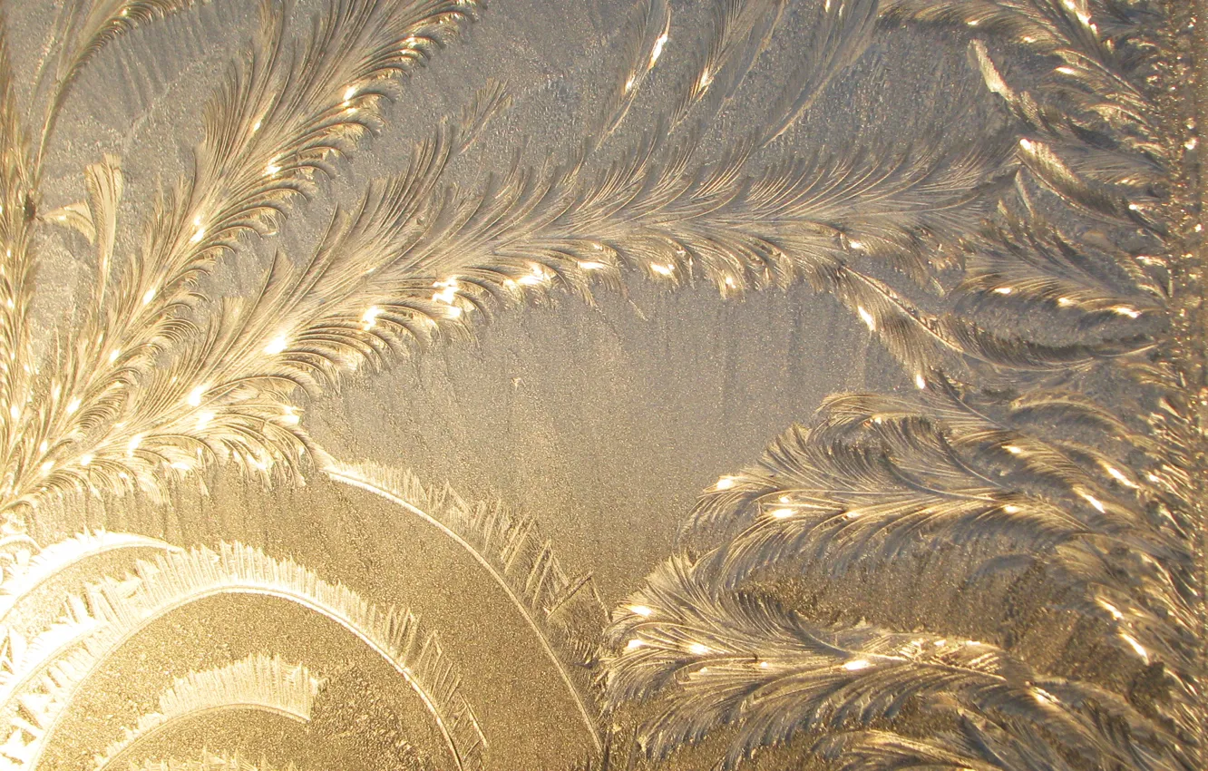 Photo wallpaper cold, ice, pattern, frozen water