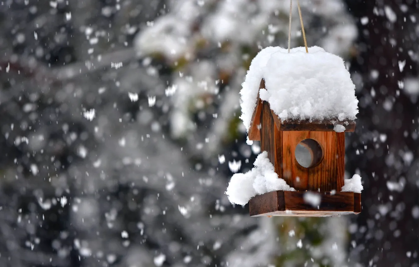 Photo wallpaper winter, forest, snow, nature, Park, forest, nature, park