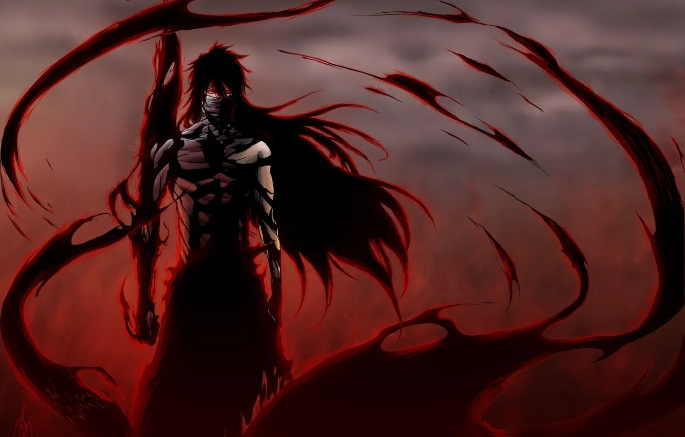 Photo wallpaper anime, bleach, novaforma, ichego