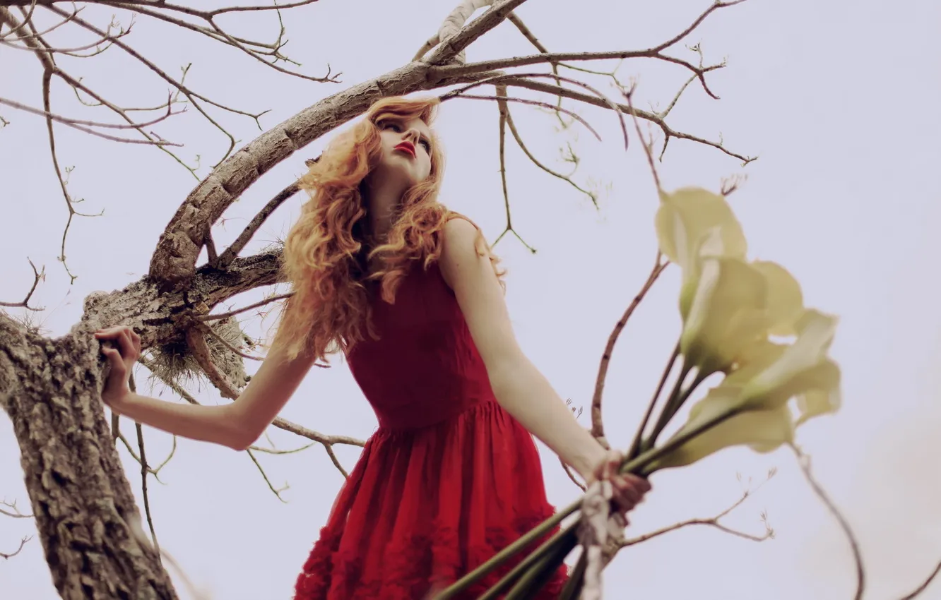 Photo wallpaper girl, flowers, Alexis