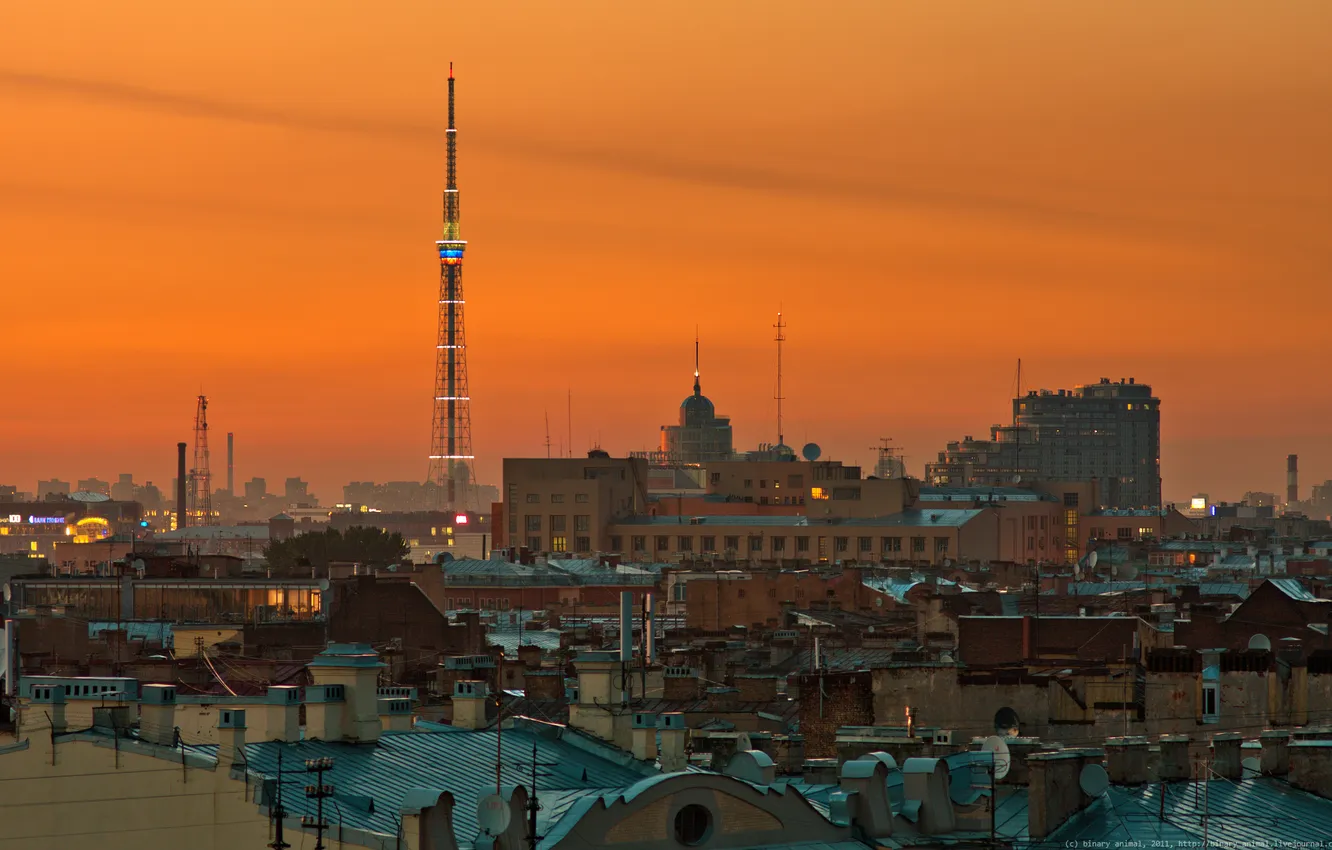 Photo wallpaper night, the city, building, tower