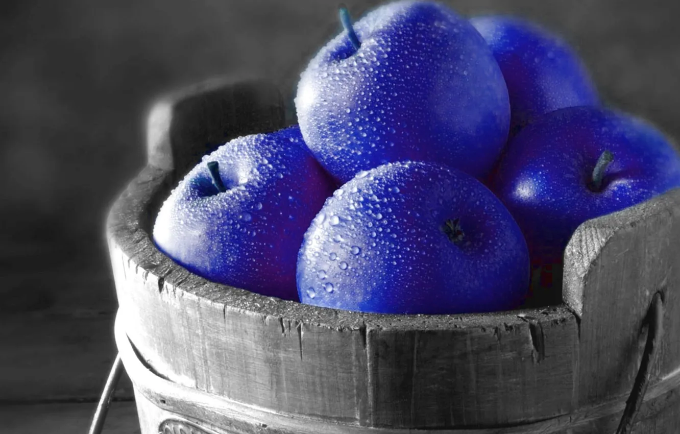 Photo wallpaper food, fruit, black and white, purple, dew, apples