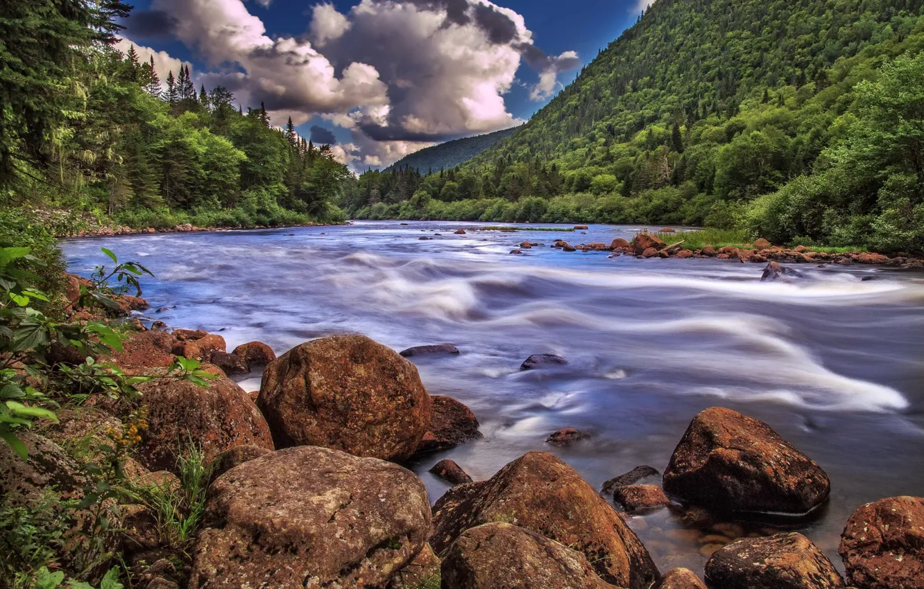 Photo wallpaper forest, clouds, trees, mountains, stones, for, Canada, river