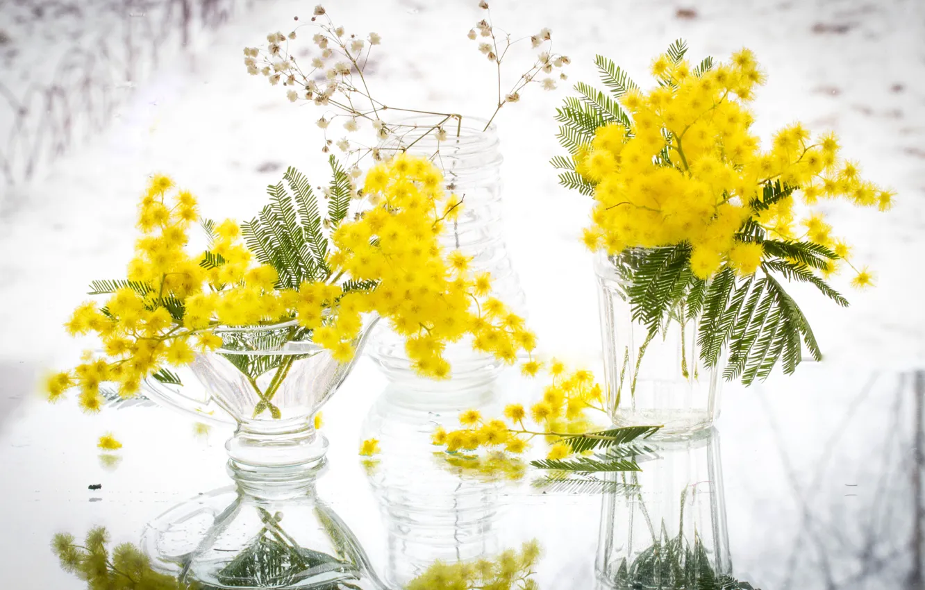 Photo wallpaper yellow, reflection, Mimosa