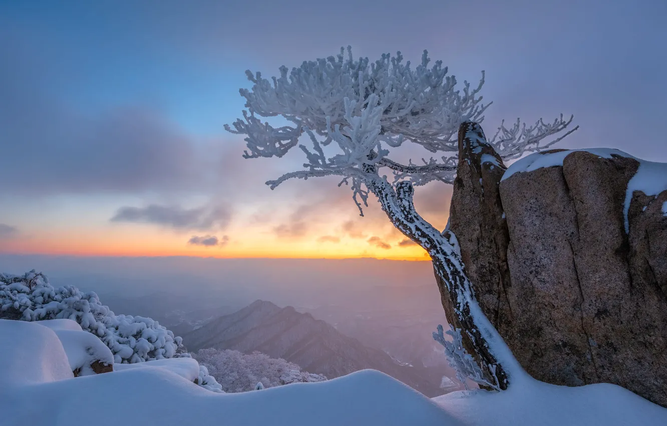 Photo wallpaper winter, frost, the sky, snow, trees, mountains, fog, stones