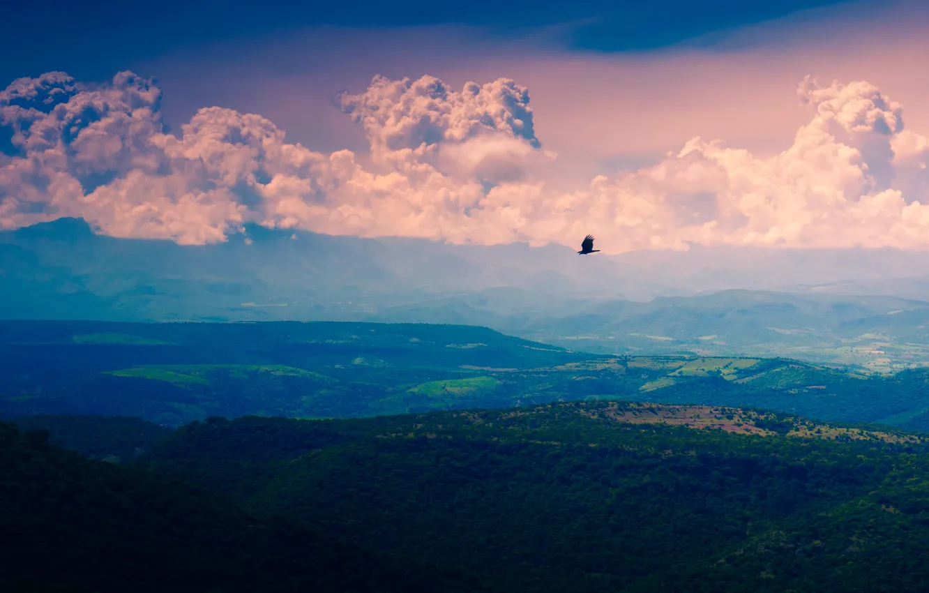 Photo wallpaper flying, bird, flight, mountains, clouds, Valley