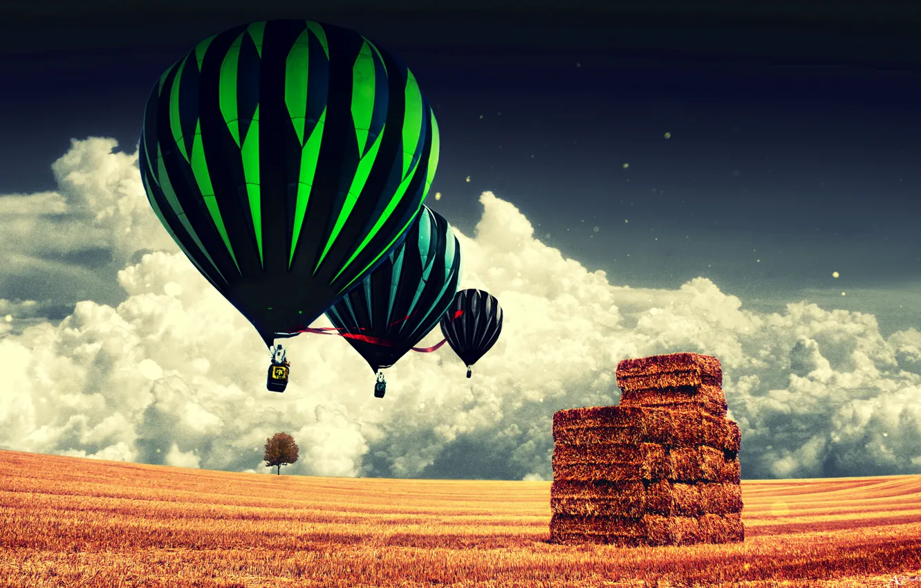 Photo wallpaper field, clouds, balloon