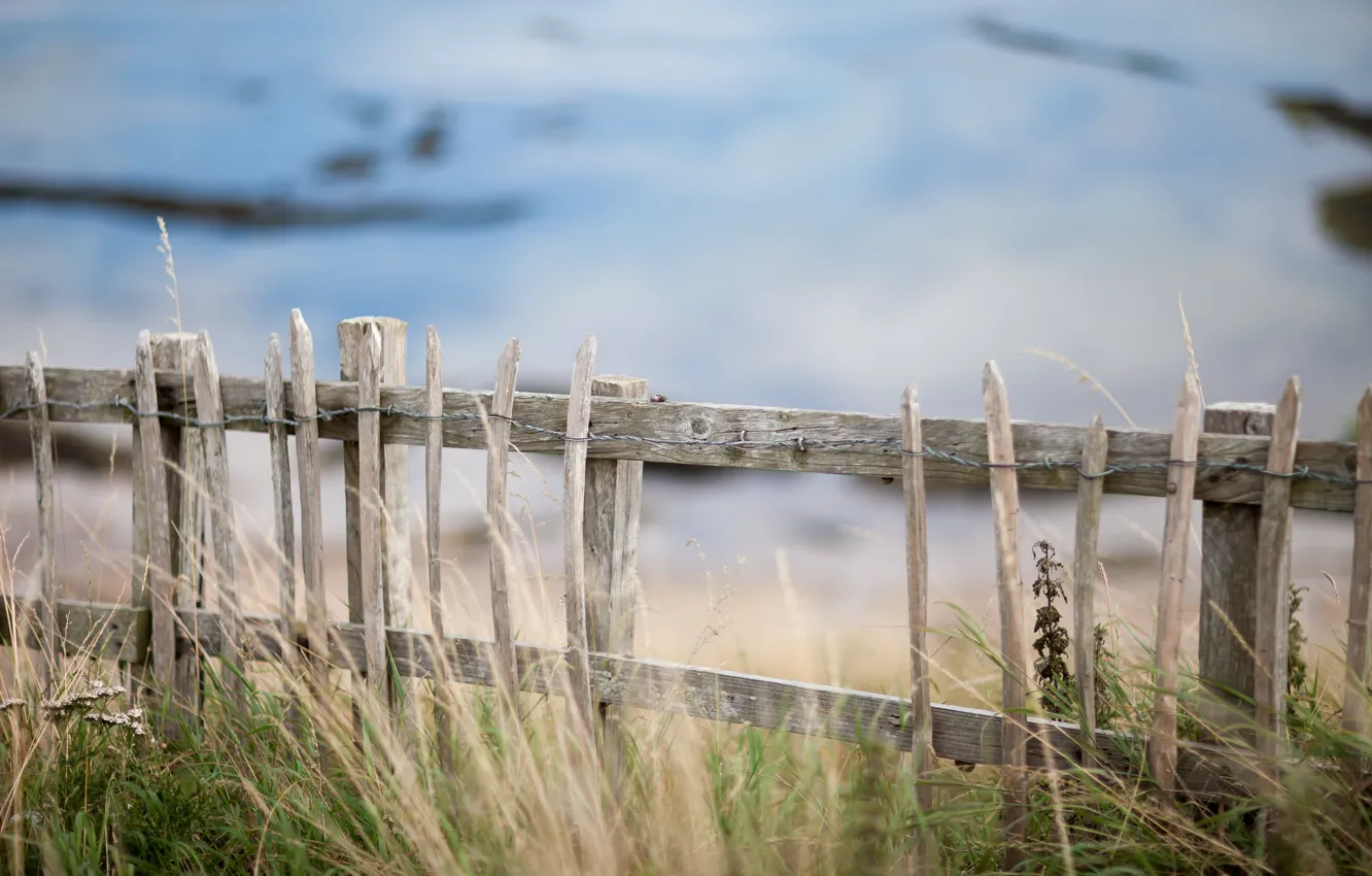 Photo wallpaper grass, nature, the fence