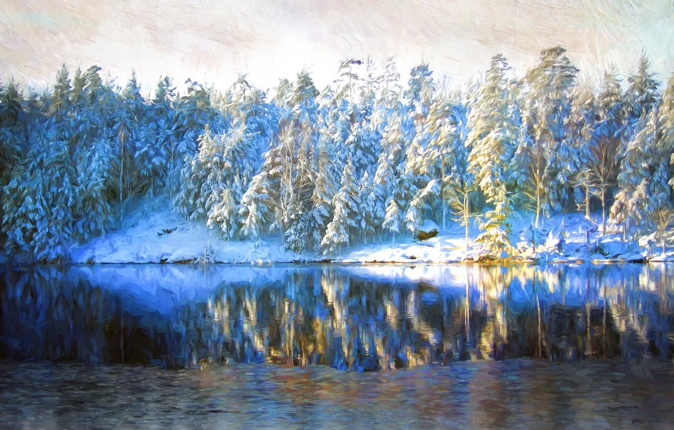 Photo wallpaper winter, frost, forest, water, light, snow, trees, nature