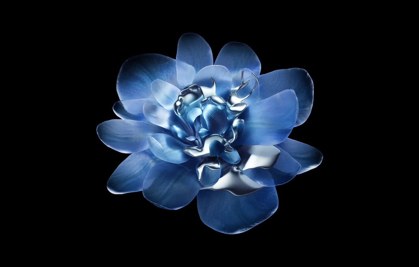 Photo wallpaper Flowers, Metallic, Black background, Abstract flower