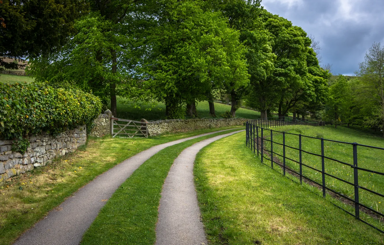 Photo wallpaper England, trees, landscape, road, the fence