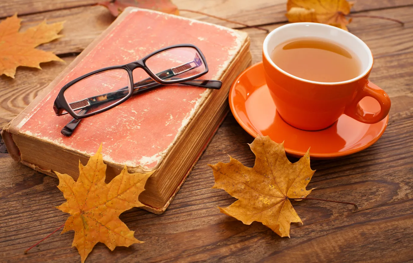 Photo wallpaper autumn, Cup, maple, autumn, leaves, cup, tea, fall