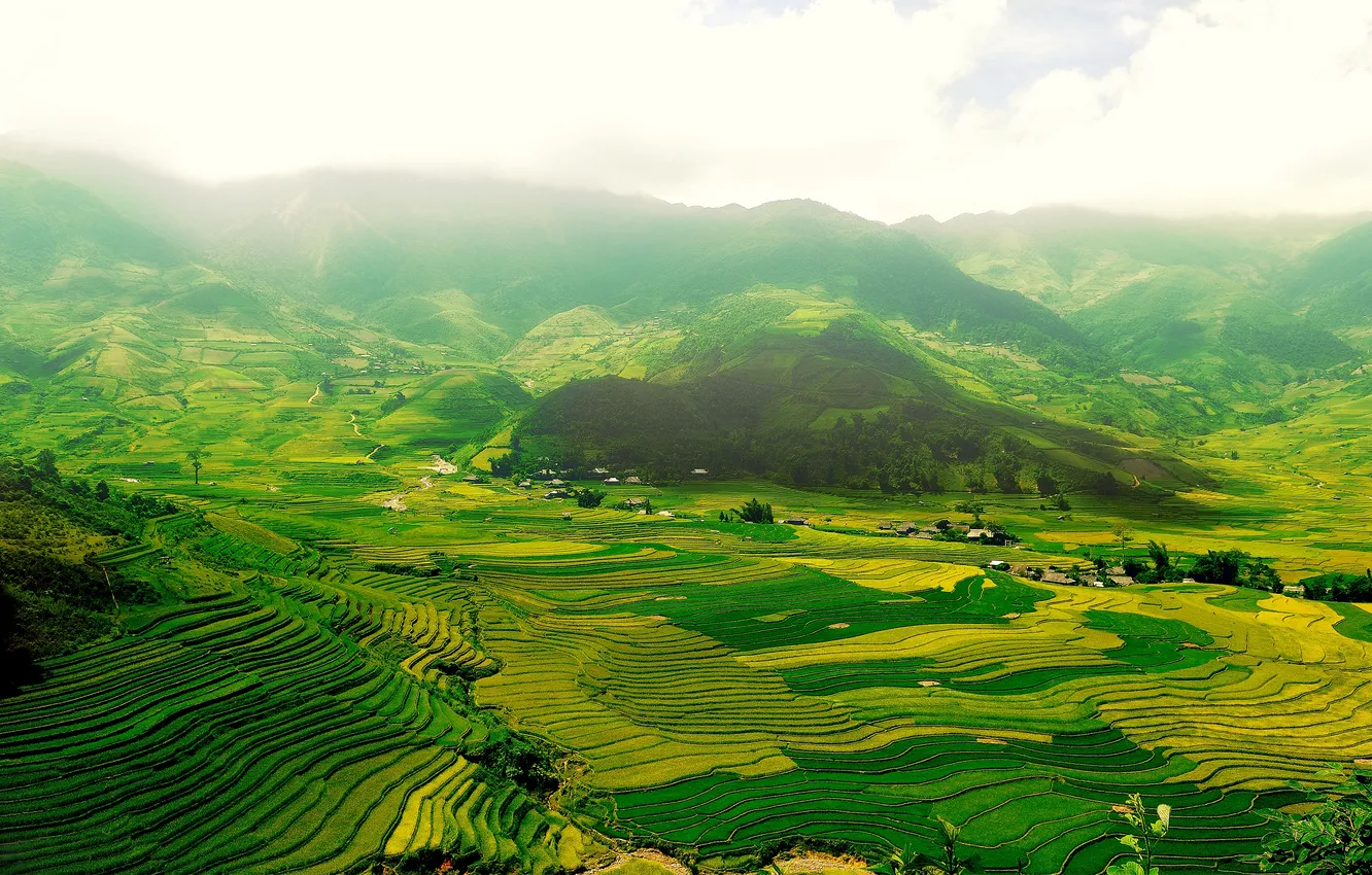 Photo wallpaper field, valley, stage