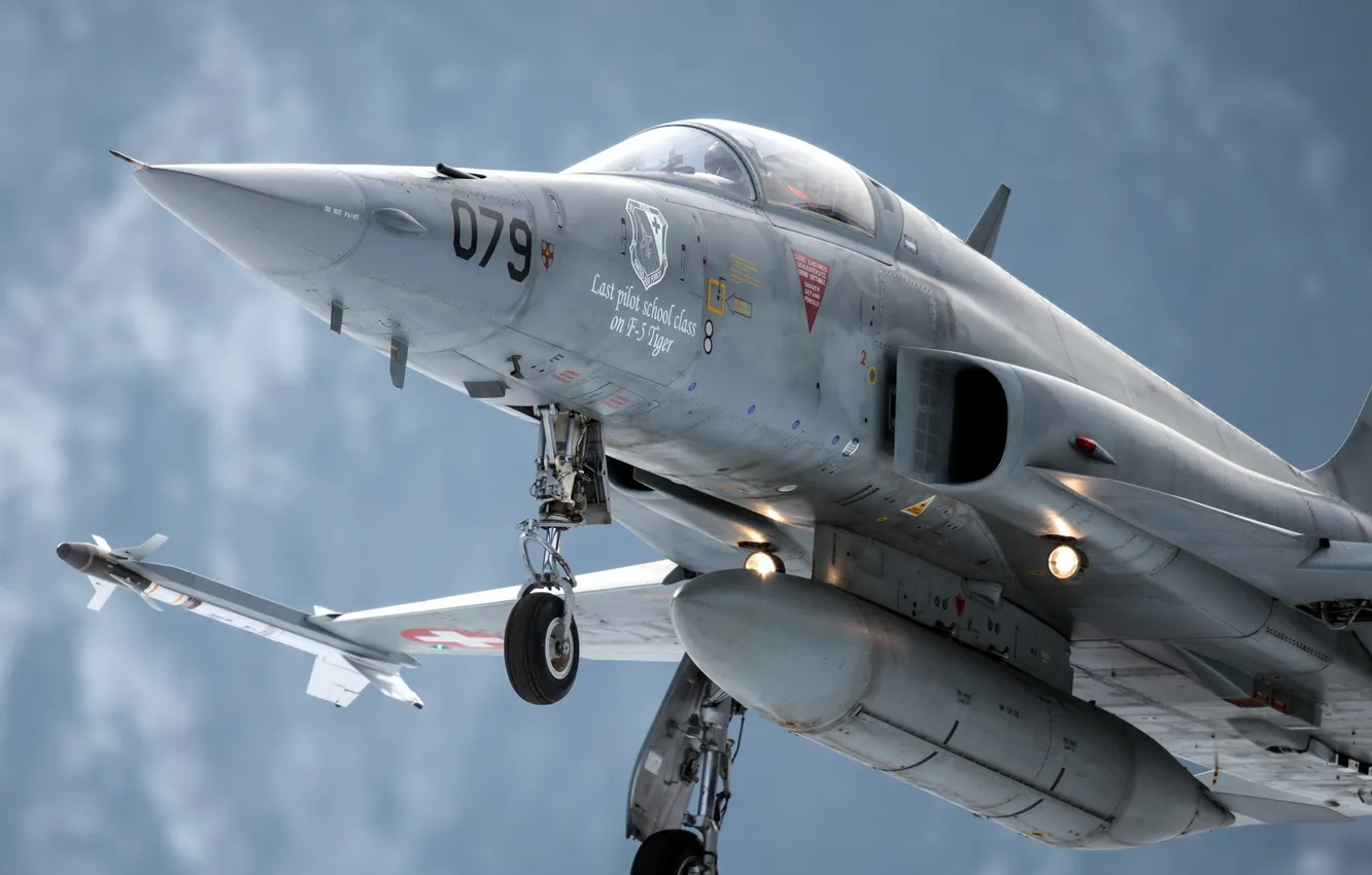 Photo wallpaper weapons, the plane, tiger