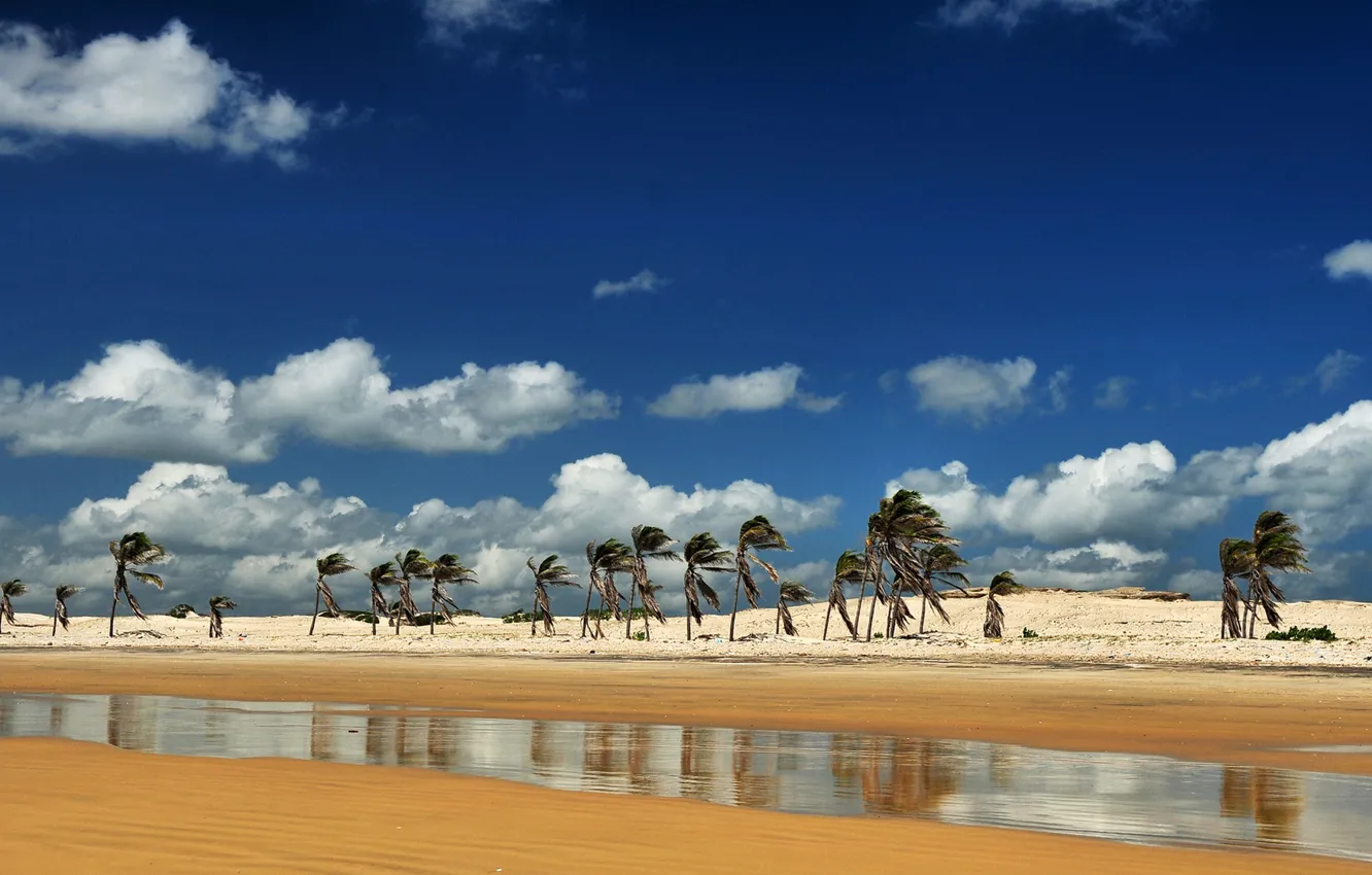 Photo wallpaper beach, the sky, clouds, stream, Brazil, Ceará, coconut, Trairi