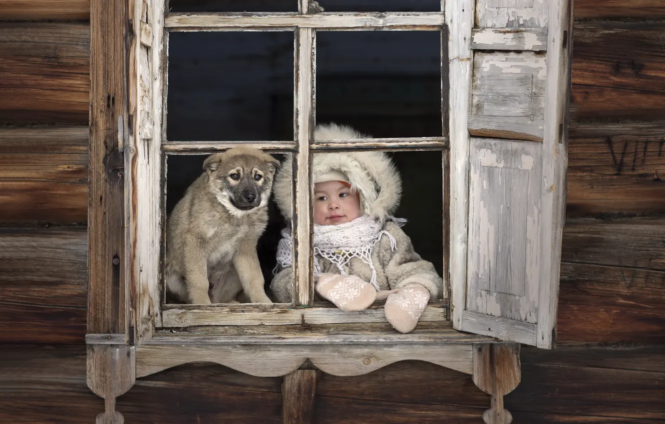 Photo wallpaper house, dog, window, girl