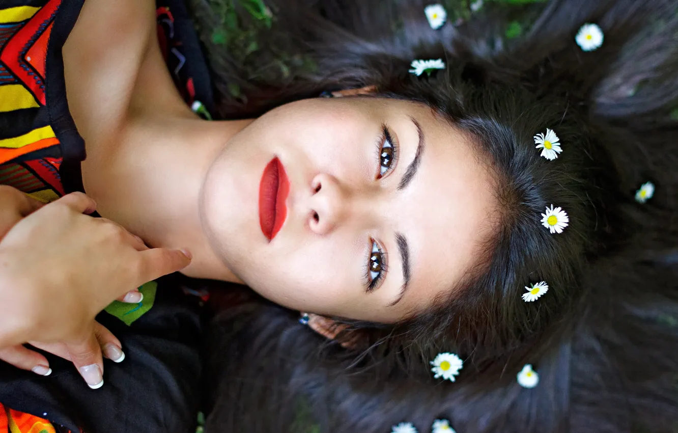 Photo wallpaper look, girl, flowers, face, portrait, chamomile, hands, brunette