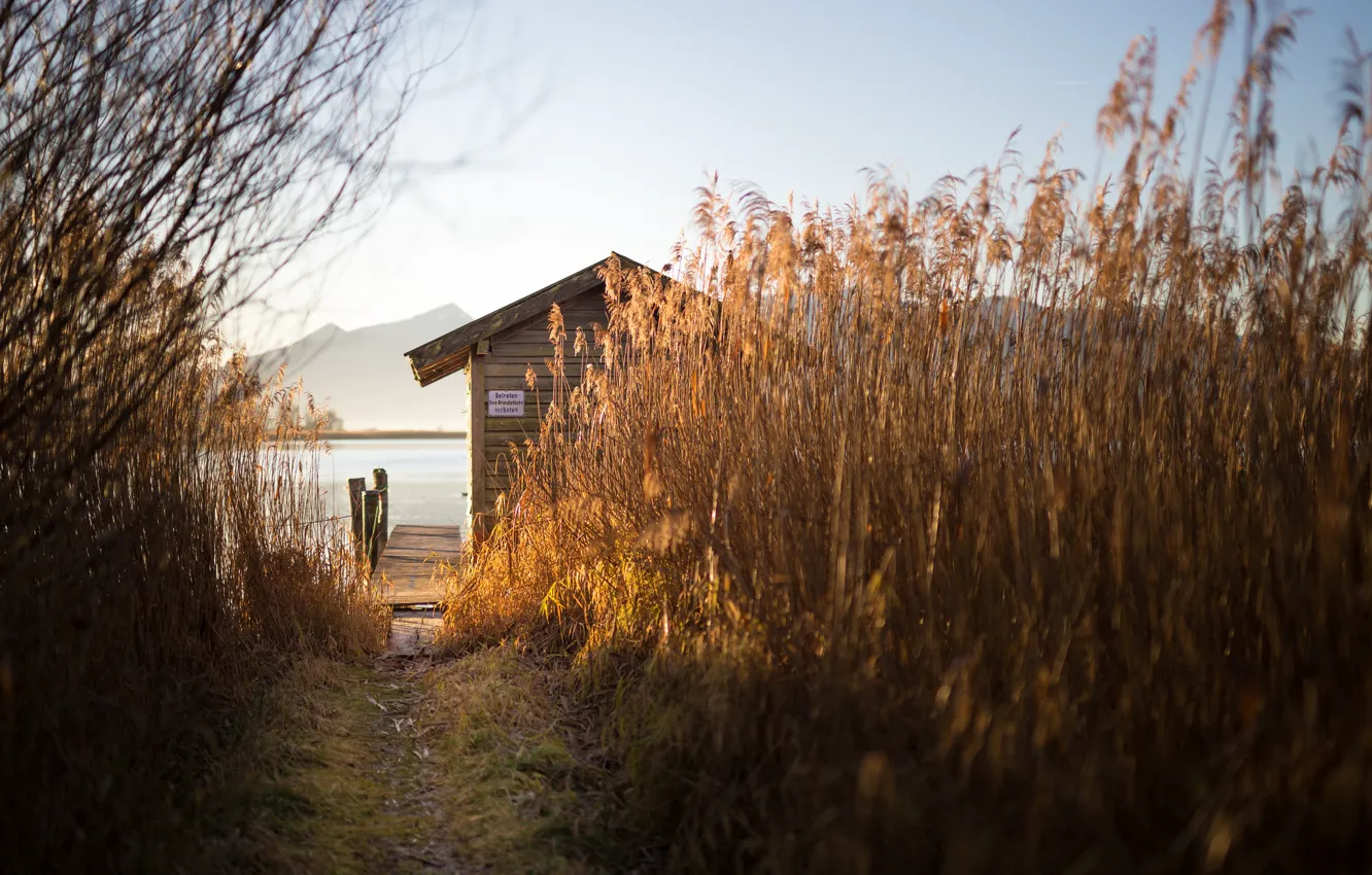 Photo wallpaper lake, house, reed