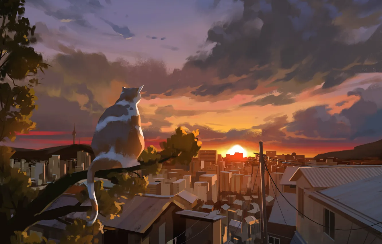 Photo wallpaper cat, the sky, sunset, the city, tree