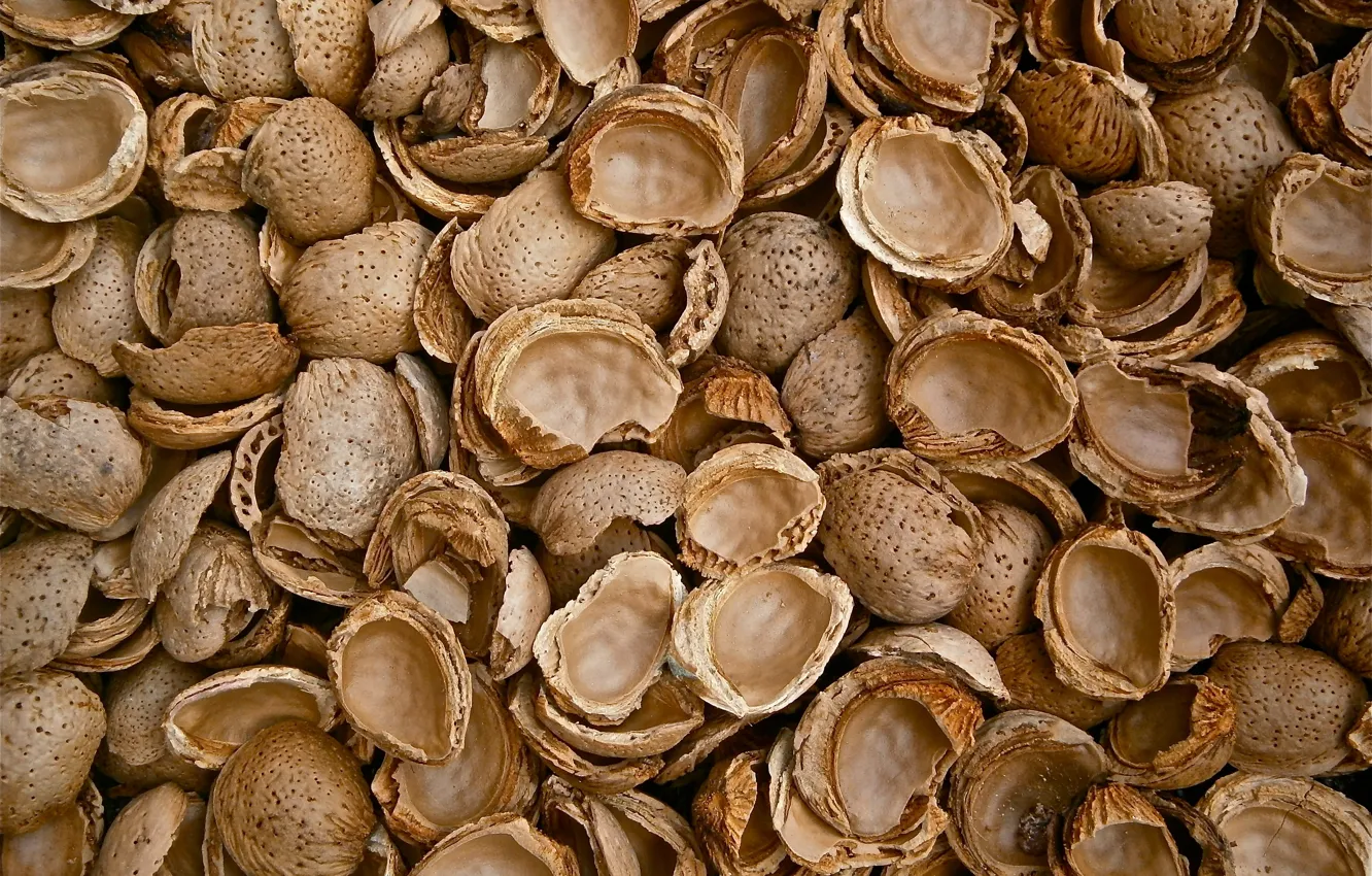 Photo wallpaper background, texture, nuts, almonds