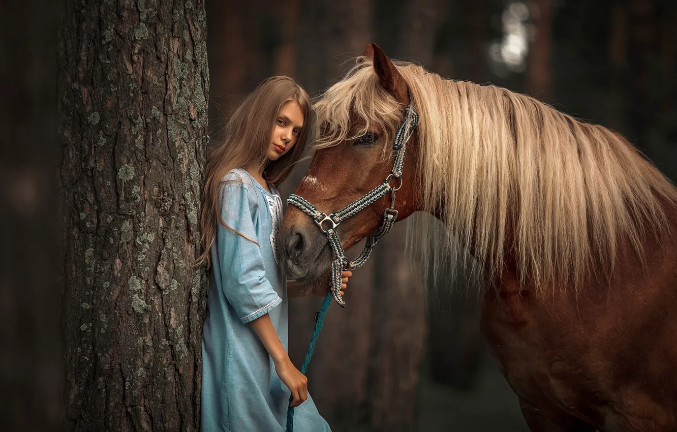 Photo wallpaper look, girl, trees, horse, Annie Of Antikov