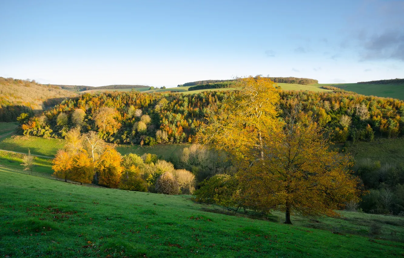 Photo wallpaper autumn, the sky, grass, trees, hills
