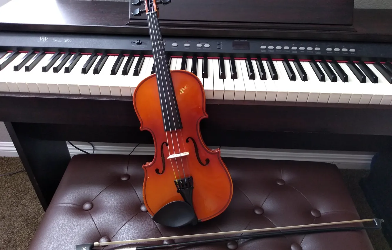 Photo wallpaper plan, violin, instrument, David Lusvardi