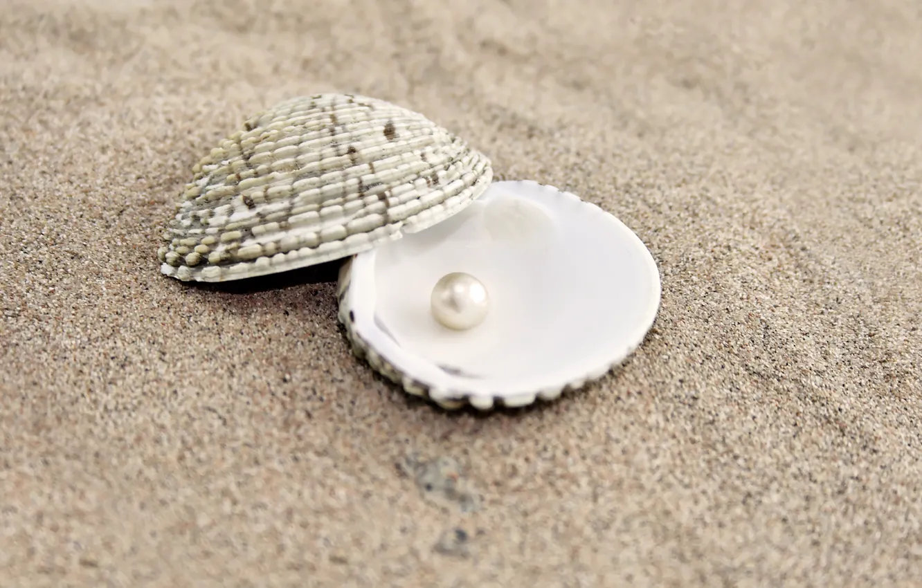 Photo wallpaper BACKGROUND, SAND, SHELL, PEARL