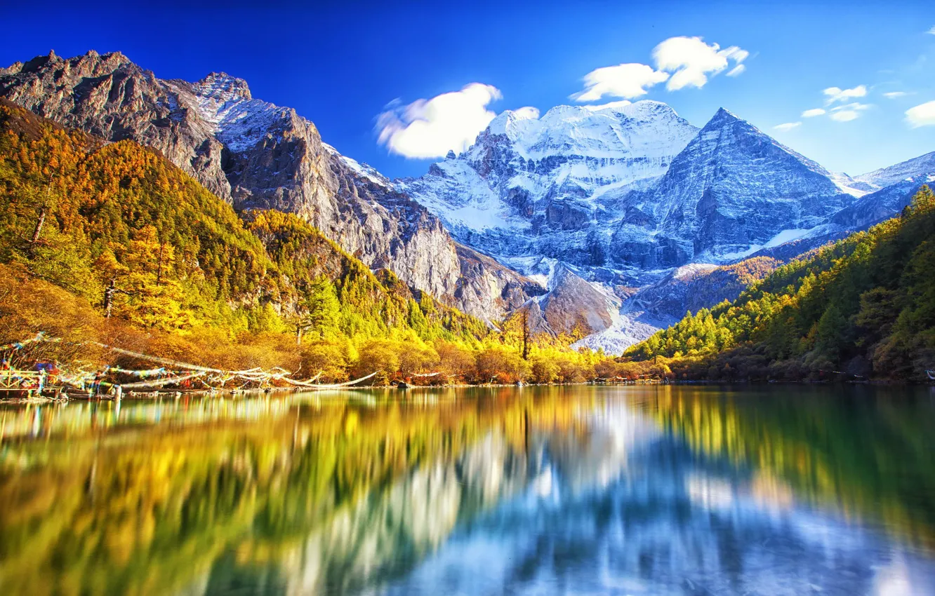 Photo wallpaper forest, snow, mountains, nature, lake