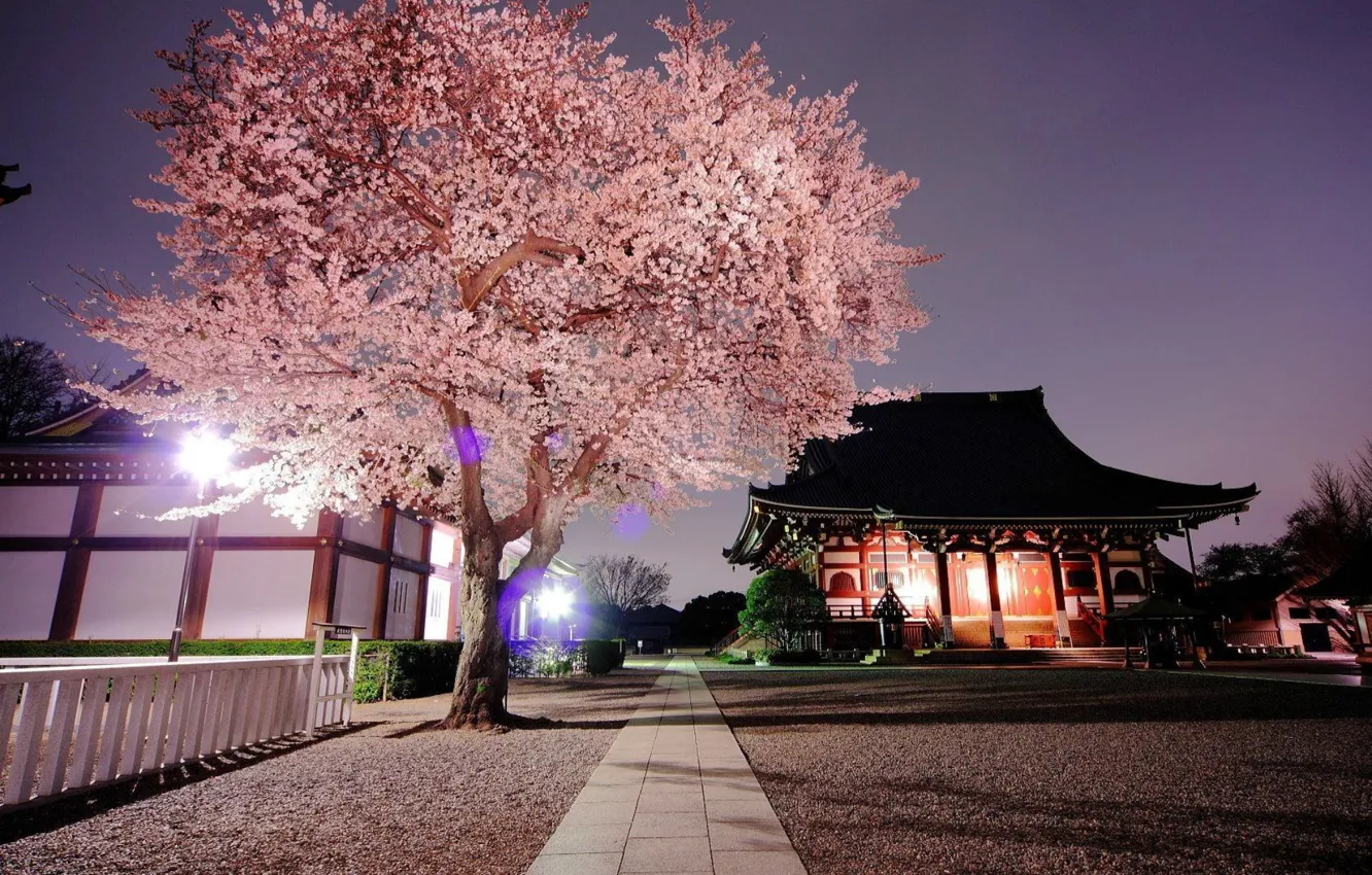 Photo wallpaper the evening, Japan, Sakura, temple, Japan