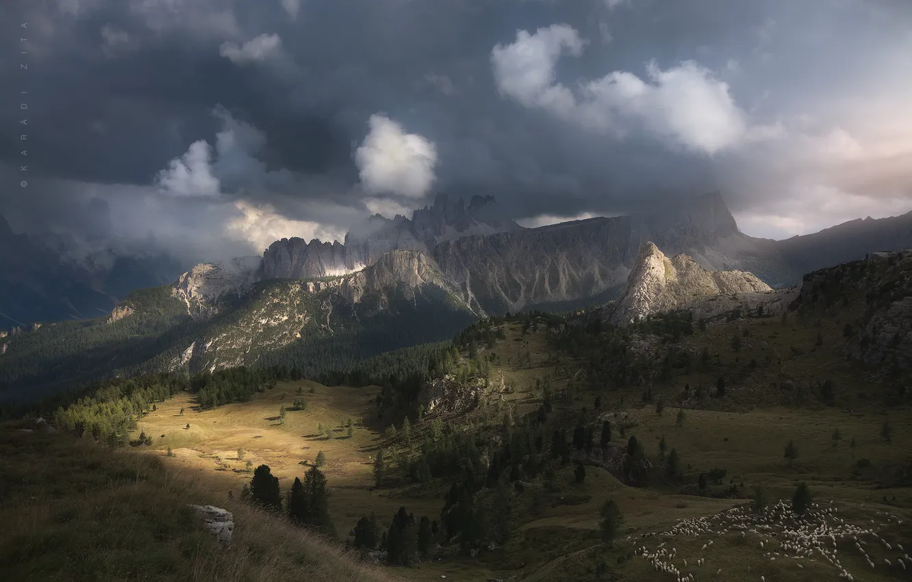 Photo wallpaper clouds, trees, mountains, beauty, valley, space, flock, picturesque landscape