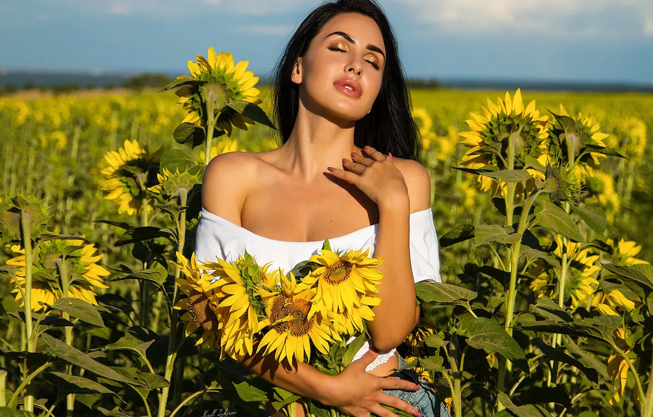 Photo wallpaper field, summer, girl, sunflowers, pose, hands, neckline, manicure
